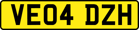 VE04DZH