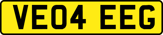 VE04EEG
