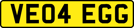 VE04EGG
