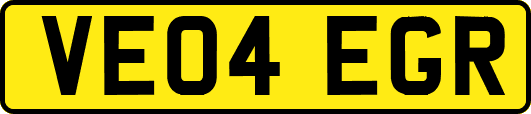 VE04EGR