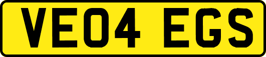 VE04EGS