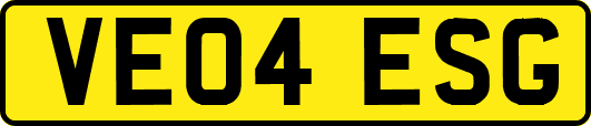 VE04ESG