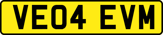 VE04EVM