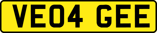 VE04GEE