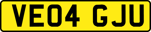 VE04GJU
