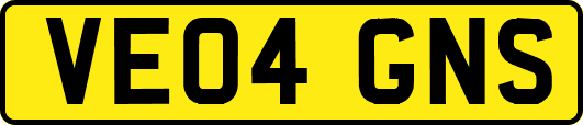 VE04GNS