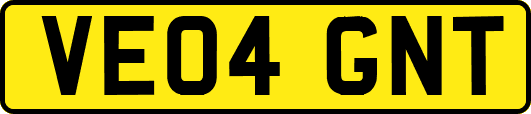 VE04GNT