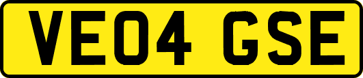 VE04GSE