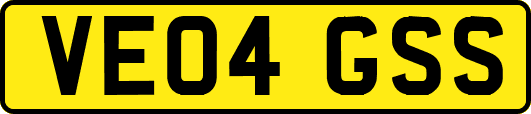 VE04GSS