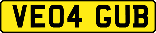 VE04GUB