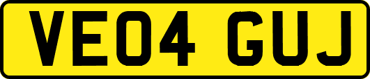 VE04GUJ