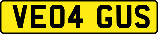 VE04GUS