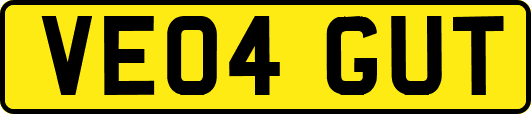VE04GUT