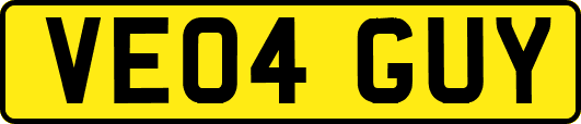 VE04GUY
