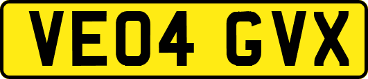 VE04GVX