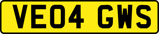 VE04GWS