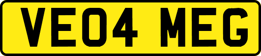 VE04MEG