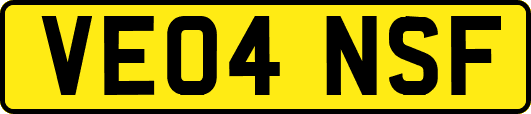 VE04NSF