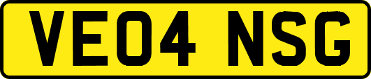 VE04NSG