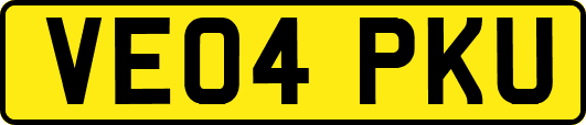 VE04PKU