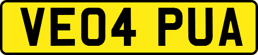 VE04PUA