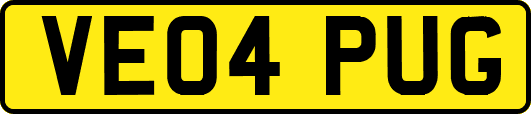 VE04PUG