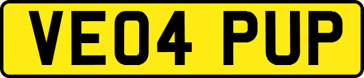 VE04PUP
