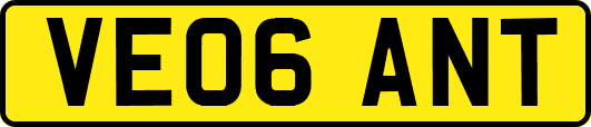 VE06ANT