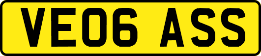 VE06ASS