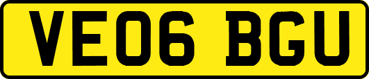 VE06BGU