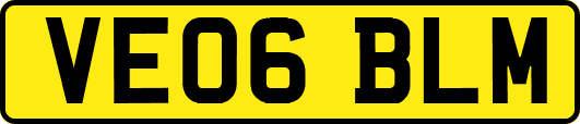 VE06BLM