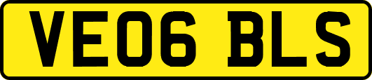 VE06BLS