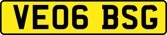 VE06BSG