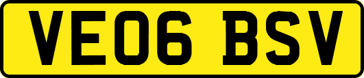 VE06BSV