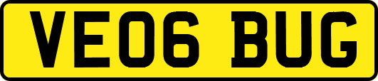 VE06BUG