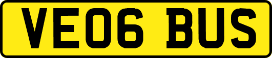 VE06BUS