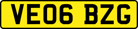 VE06BZG