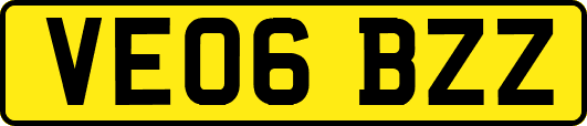 VE06BZZ