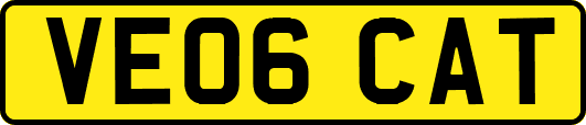 VE06CAT