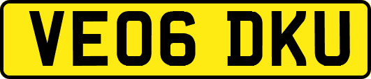 VE06DKU