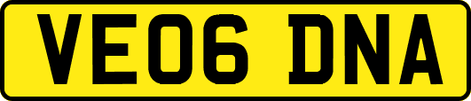 VE06DNA