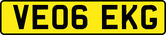 VE06EKG