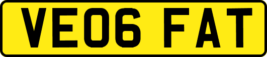 VE06FAT