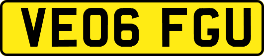 VE06FGU