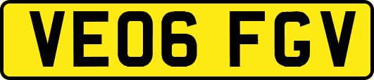 VE06FGV