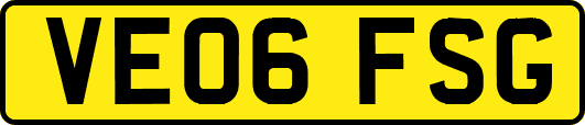 VE06FSG