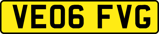 VE06FVG