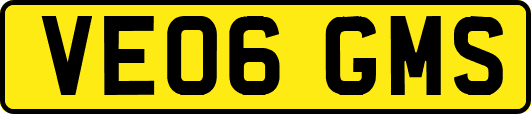 VE06GMS