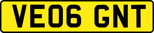 VE06GNT