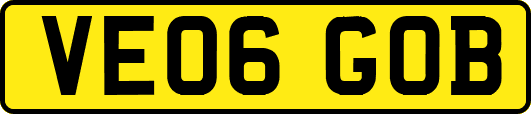 VE06GOB